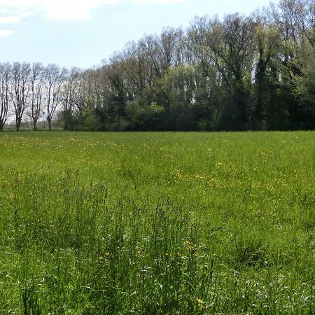 Gite Du Gardien Saint-Martin-de-Crau Exterior foto